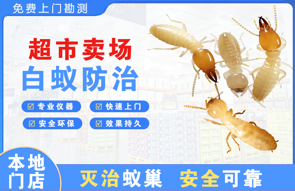 南京超市卖场白蚁防治