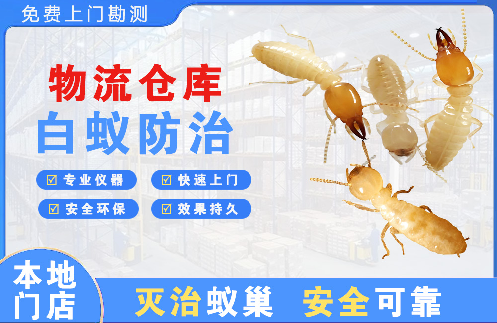 南京物流仓库白蚁防治