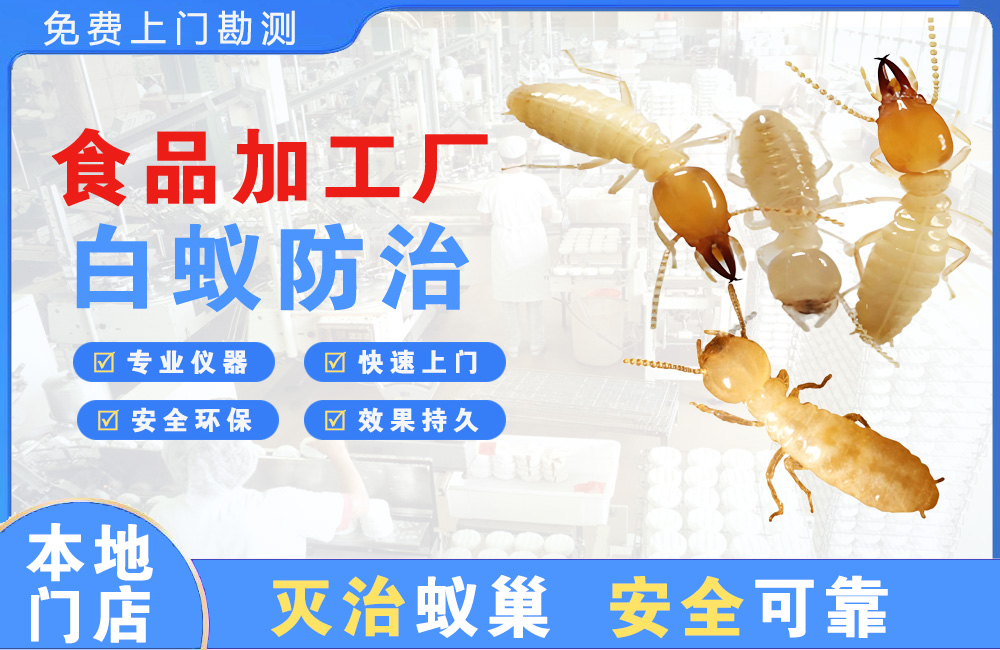 南京食品加工厂白蚁防治