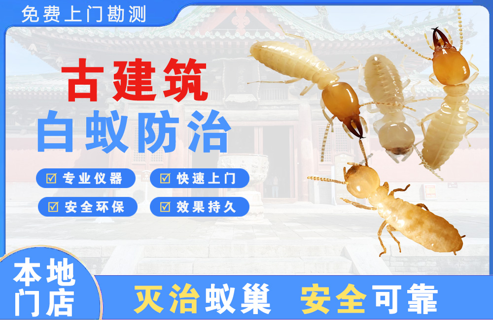 南京古建筑白蚁防治