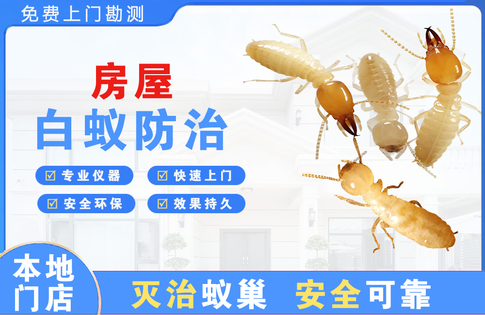 南京房屋白蚁防治