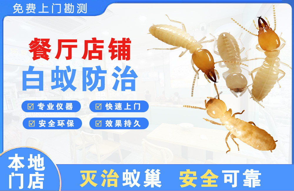 南京餐厅店铺白蚁防治